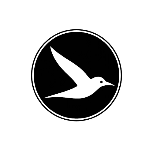 Terns